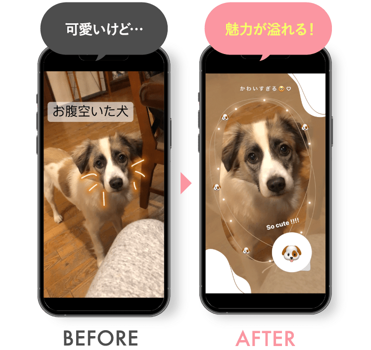 可愛いけど… 魅力が溢れる！